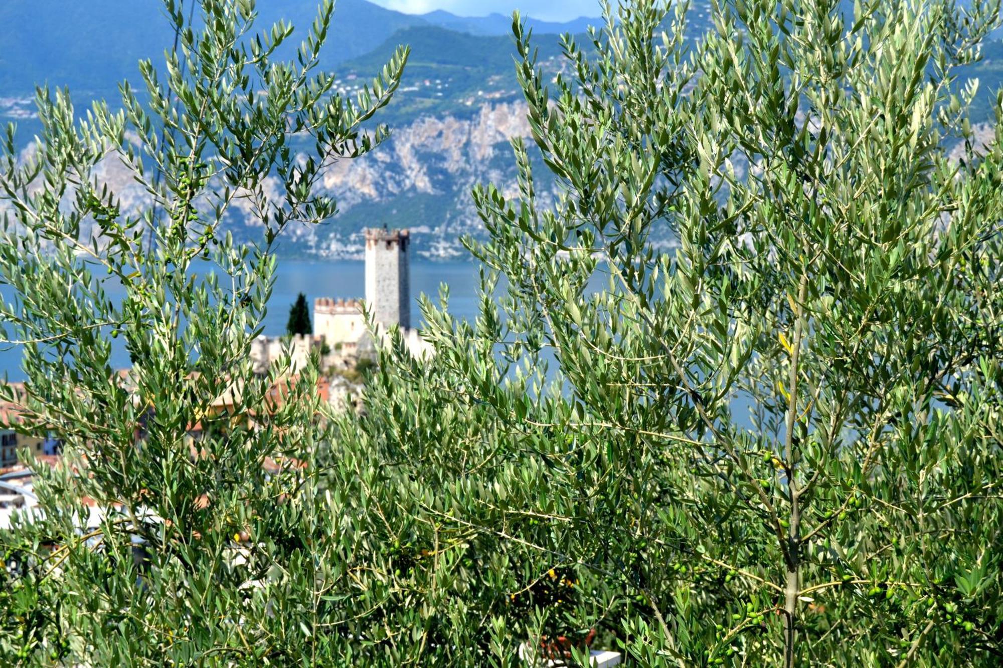 Appartamenti La Perla Malcesine Exteriér fotografie